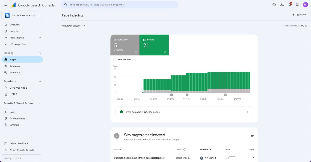 Experius — indexation Google Search Console, 21 pages indexées