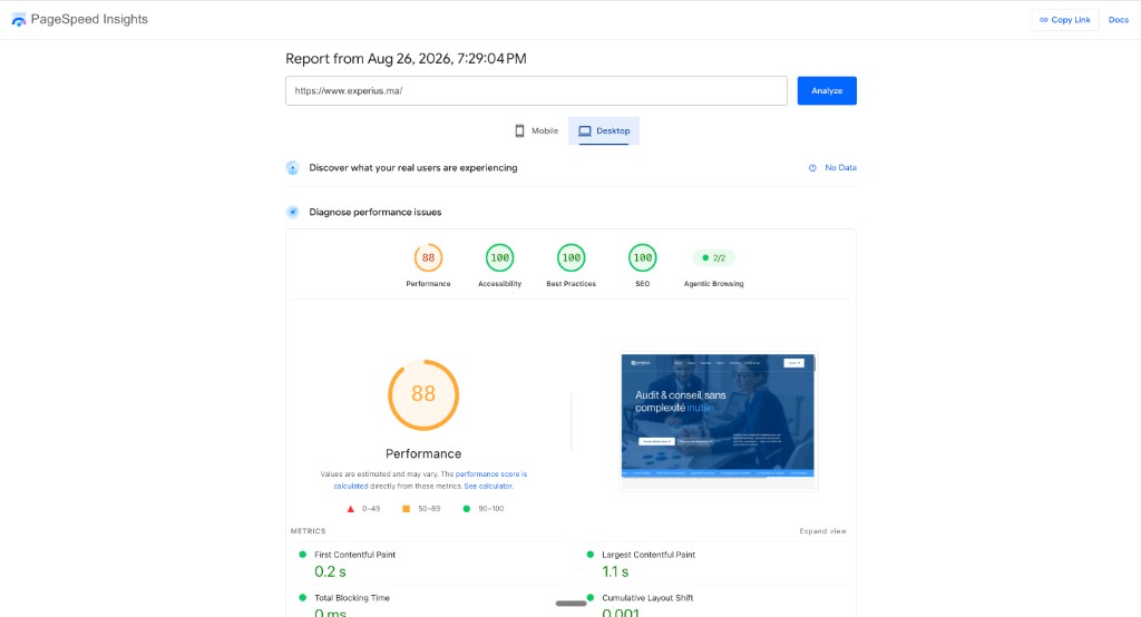 Experius — PageSpeed Insights desktop, score SEO 100/100 (performance 88)