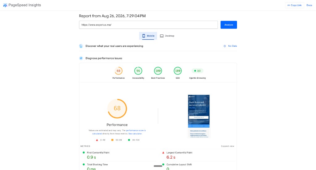Experius — PageSpeed Insights mobile, SEO 100/100 (performance 68, accessibilité 96)
