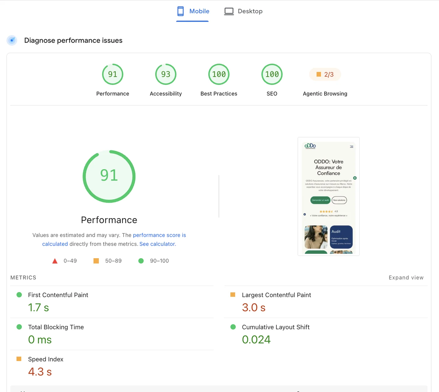 PageSpeed Insights mobile — performance 91, accessibilité 93, bonnes pratiques 100, SEO 100