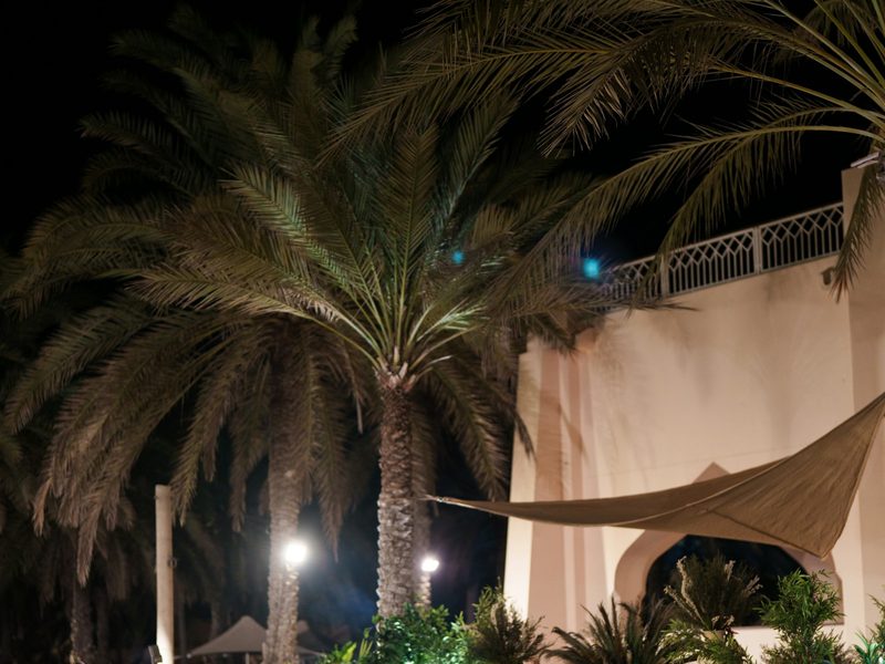 Réception de nuit sous les palmiers — photographe mariage à Casablanca